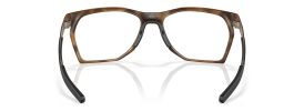 805903 - Satin Brown Tortoise