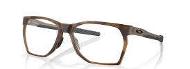 805903 - Satin Brown Tortoise