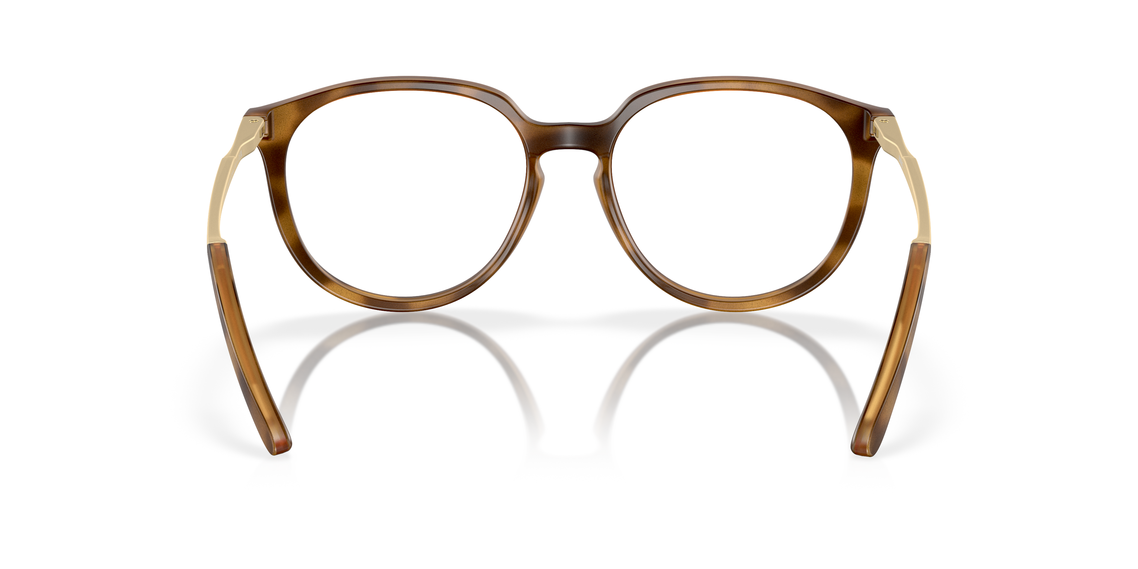 815002 - Satin Brown Tortoise