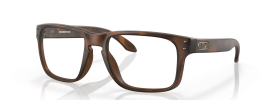 815602 - Matte Brown Tortoise