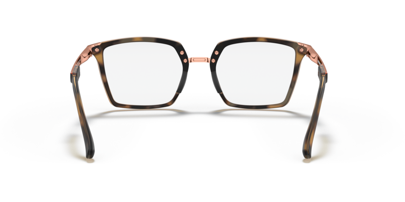 816002 - Satin Brown Tortoise