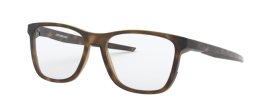 816302 - Satin Brown Tortoise