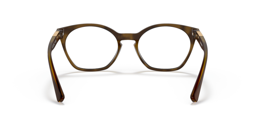 816802 - Satin Brown Tortoise