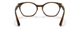 816802 - Satin Brown Tortoise