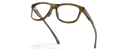 817502 - Satin Brown Tortoise