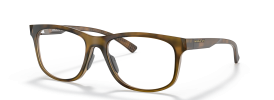 817502 - Satin Brown Tortoise