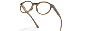 817602 - Satin Brown Tortoise