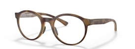 817602 - Satin Brown Tortoise