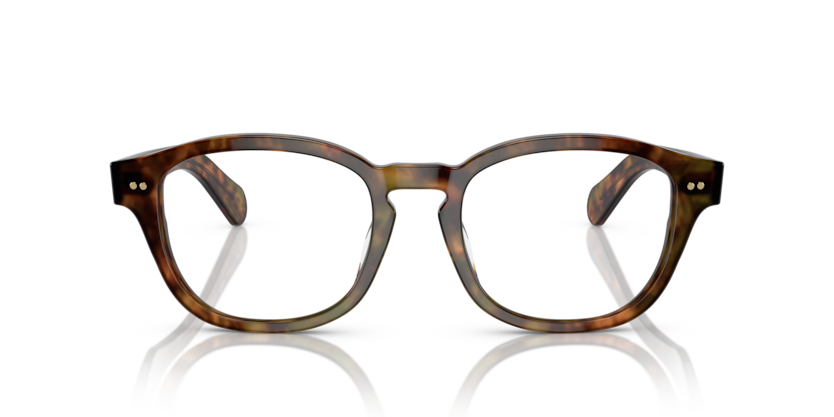 5017 - Shiny Beige Tortoise