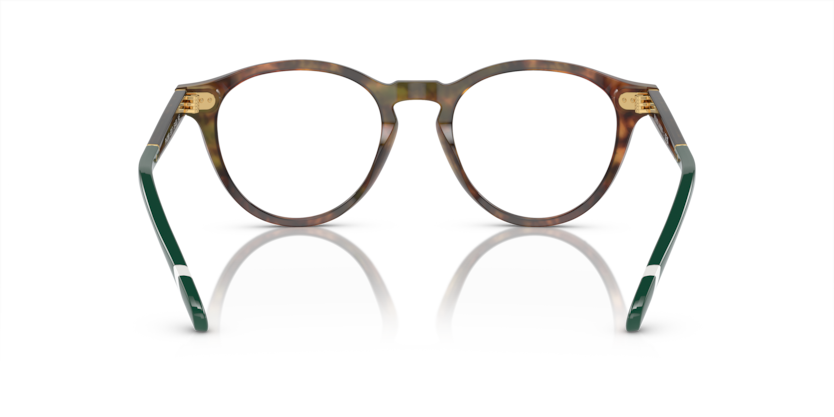 5017 - Shiny Brown Tortoise