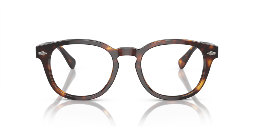 6137 - Shiny Brown Tortoise