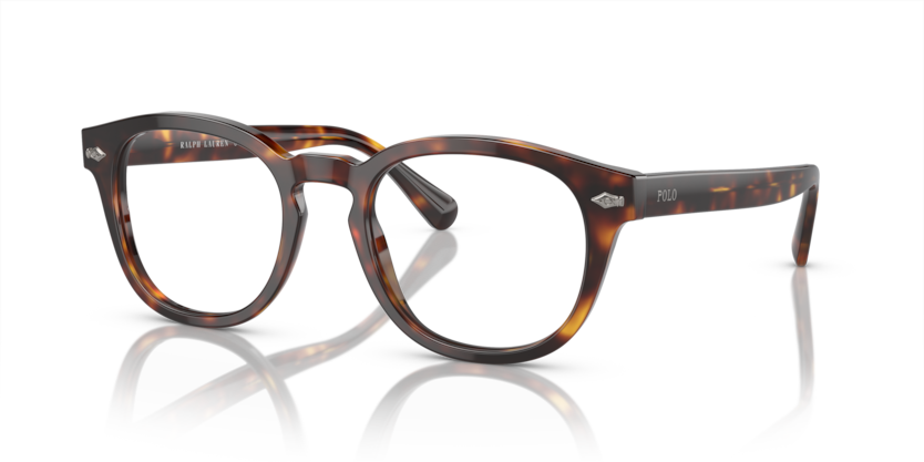 6137 - Shiny Brown Tortoise