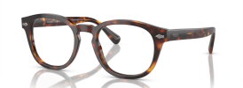 6137 - Shiny Brown Tortoise