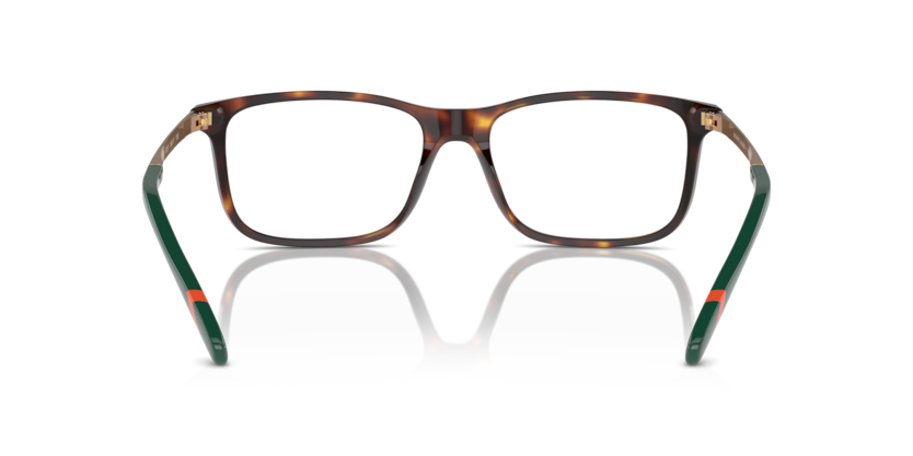 6137 - Shiny Brown Tortoise