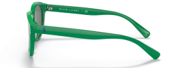 601771 - Shiny Cruise Green