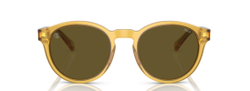 Ralph Lauren Polo PH 4192 Sunglasses