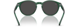 608487 - Shiny Transparent Green