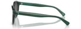 608487 - Shiny Transparent Green