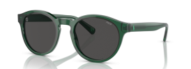 608487 - Shiny Transparent Green