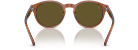 608673 - Shiny Transparent Brown