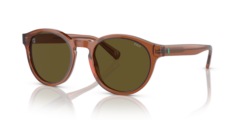 608673 - Shiny Transparent Brown