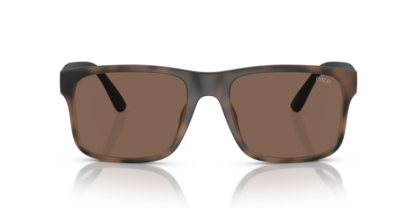 607073 - Matte Brown Havana