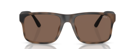 607073 - Matte Brown Havana