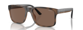 607073 - Matte Brown Havana