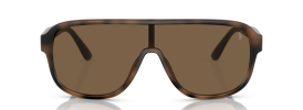 607073 - Matte Havana Brown