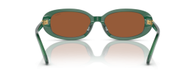 619573 - Shiny Transparent Green