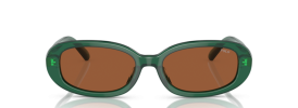 619573 - Shiny Transparent Green