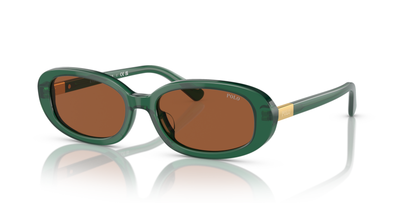 619573 - Shiny Transparent Green