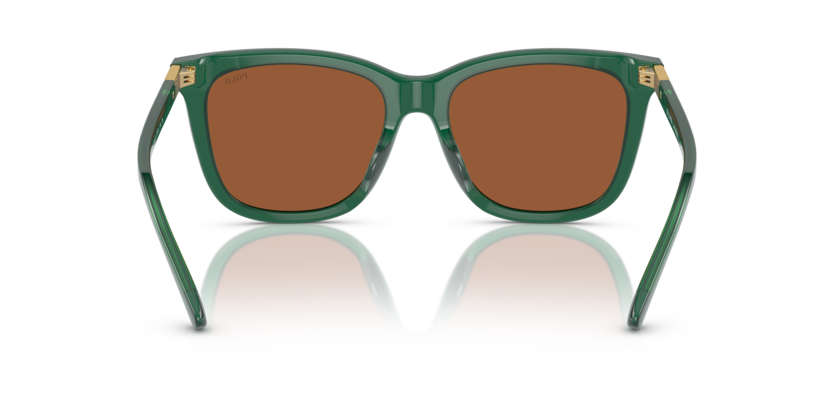 619573 - Shiny Transparent Green