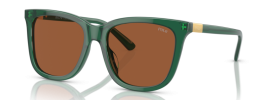 619573 - Shiny Transparent Green