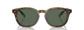 Ralph Lauren Polo PH 4206 Sunglasses