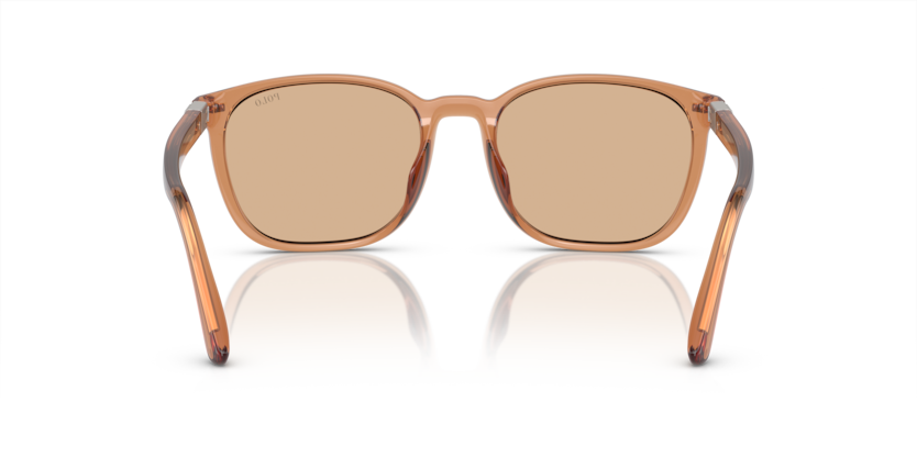 604873 - Shiny Transparent Brown