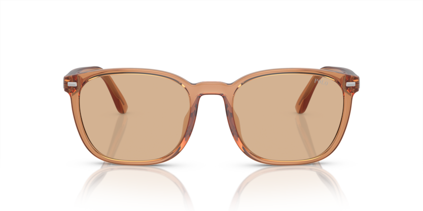 604873 - Shiny Transparent Brown