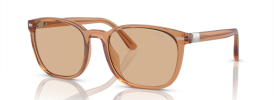 604873 - Shiny Transparent Brown