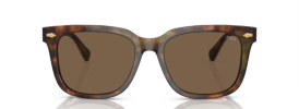 501773 - Shiny Brown Tortoise