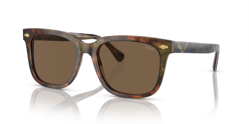 501773 - Shiny Brown Tortoise