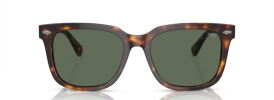 613771 - Shiny Brown Tortoise