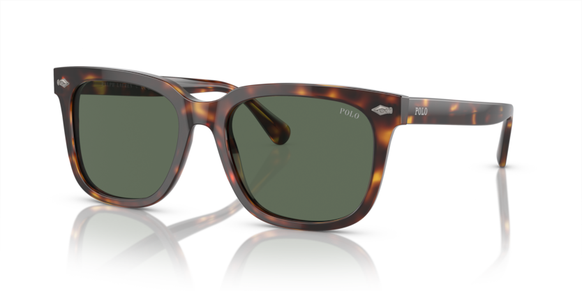 613771 - Shiny Brown Tortoise