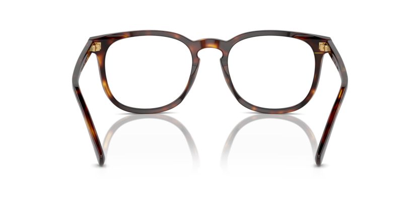 613773 - Shiny Brown Tortoise