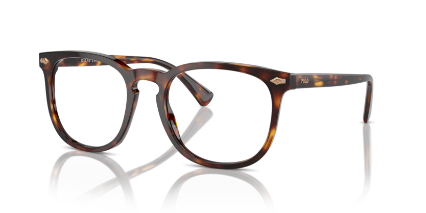 613773 - Shiny Brown Tortoise