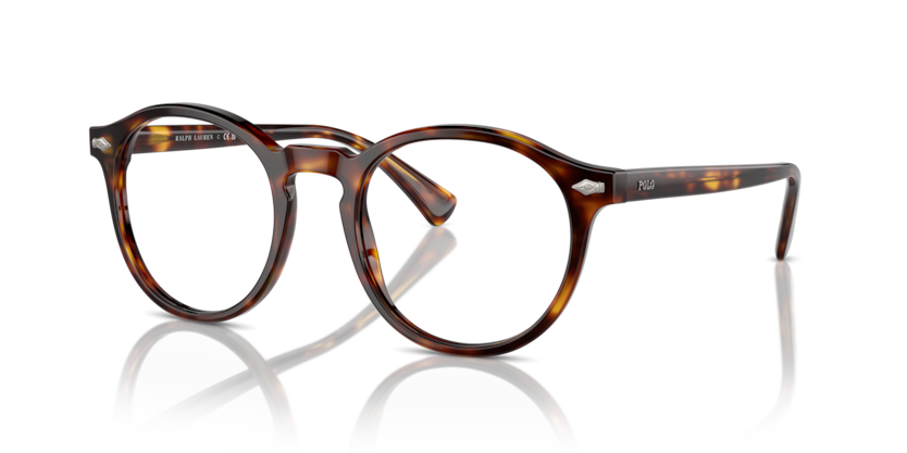 613771 - Shiny Brown Tortoise