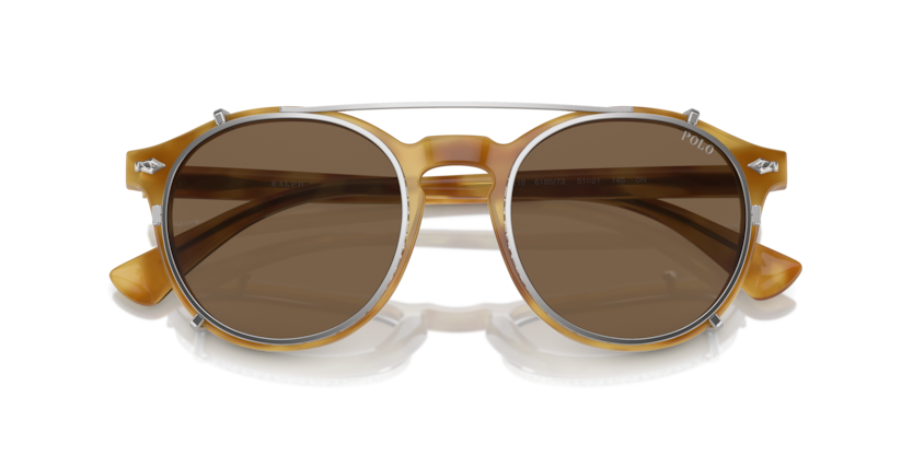 618573 - Shiny Light Brown Tortoise