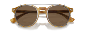 618573 - Shiny Light Brown Tortoise