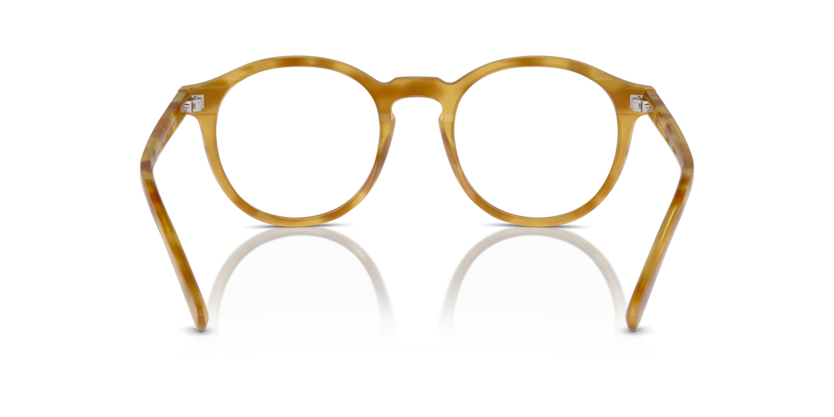 618573 - Shiny Light Brown Tortoise