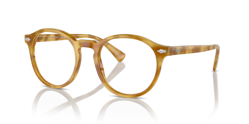 618573 - Shiny Light Brown Tortoise