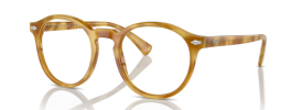 618573 - Shiny Light Brown Tortoise